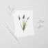 6 Floral Postcards - Impressions 3